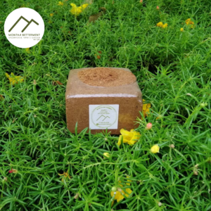 แบรนด์มณฑา (ตราภูเขา)