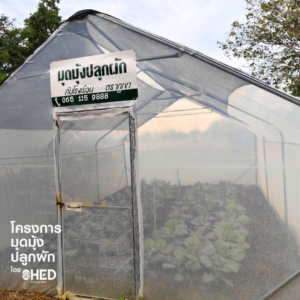 สินค้าออแกร์นิค